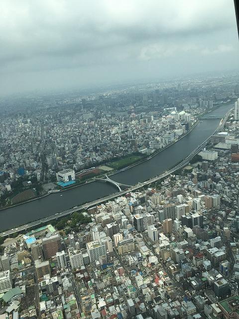 スカイツリーから観た景色