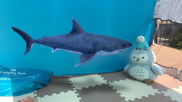動物3Dのサメと一緒に