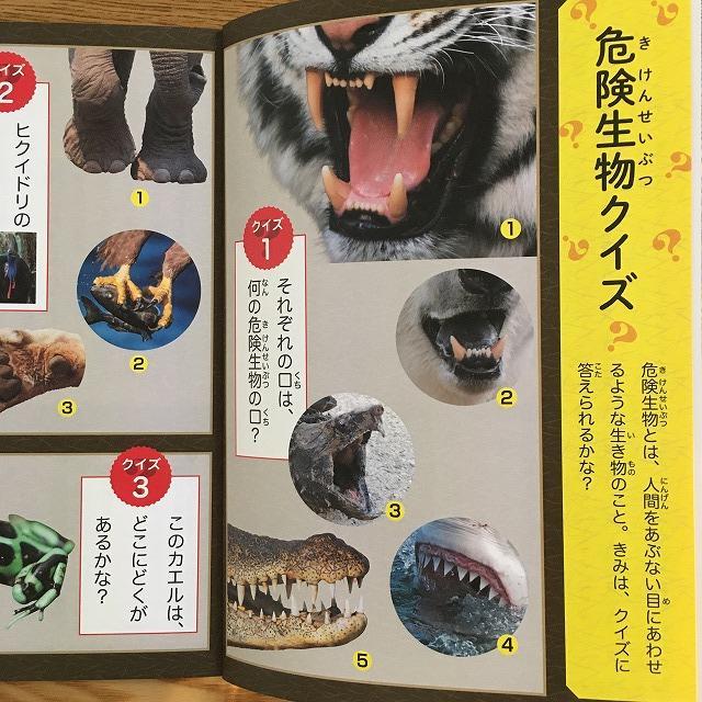 危険生物のおはなし・危険生物クイズ