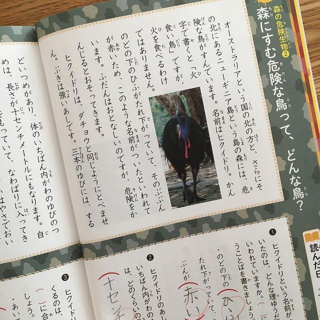 危険生物のおはなし・森に住む危険な鳥って、どんな鳥？